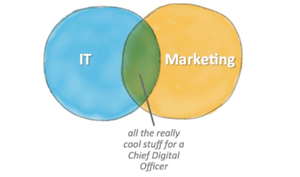 CDO versus CIO; werken aan een digitale organisatie