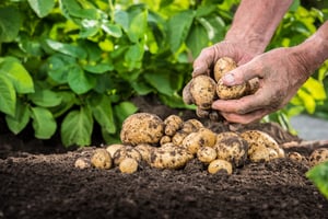 Snel anticiperen op technologische ontwikkelingen